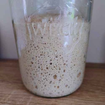 Understanding Your Sourdough Starter