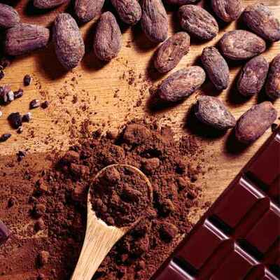 A Beginner’s Guide to Cacao Powder